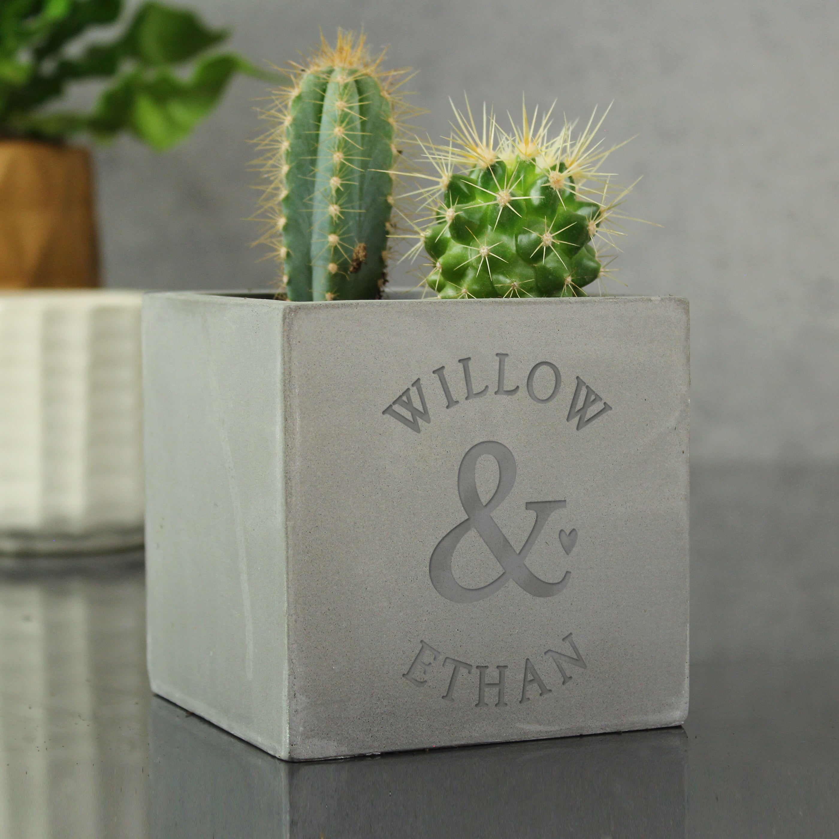 Personalised Ampersand Couples Concrete Plant Pot Grey