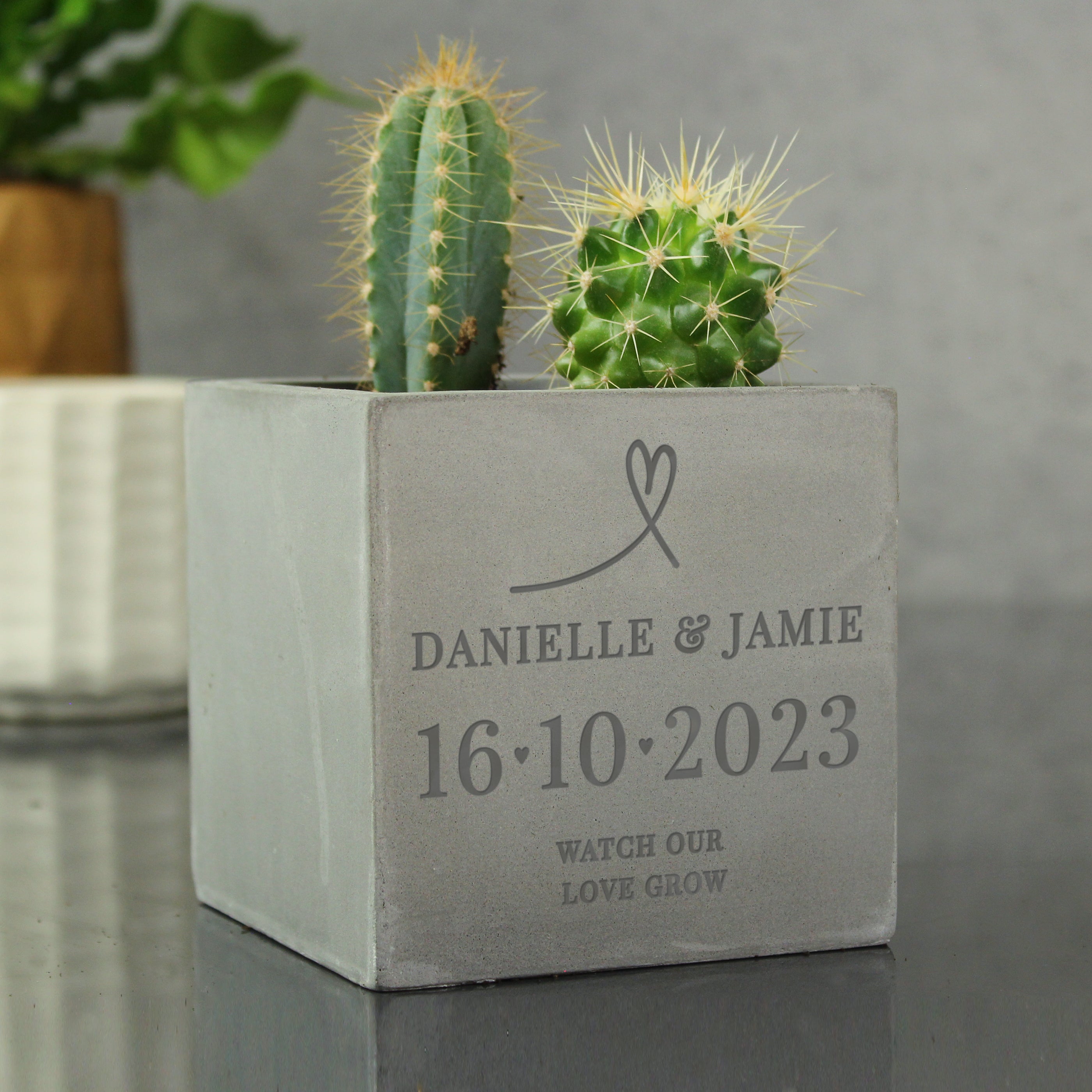 Personalised Large Date Concrete Plant Pot Grey