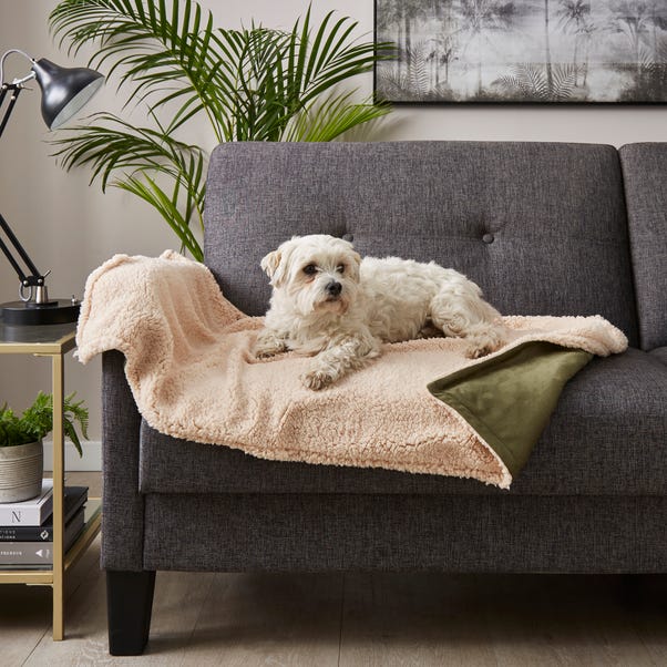 Luxury Green Dog Blanket image 1 of 4