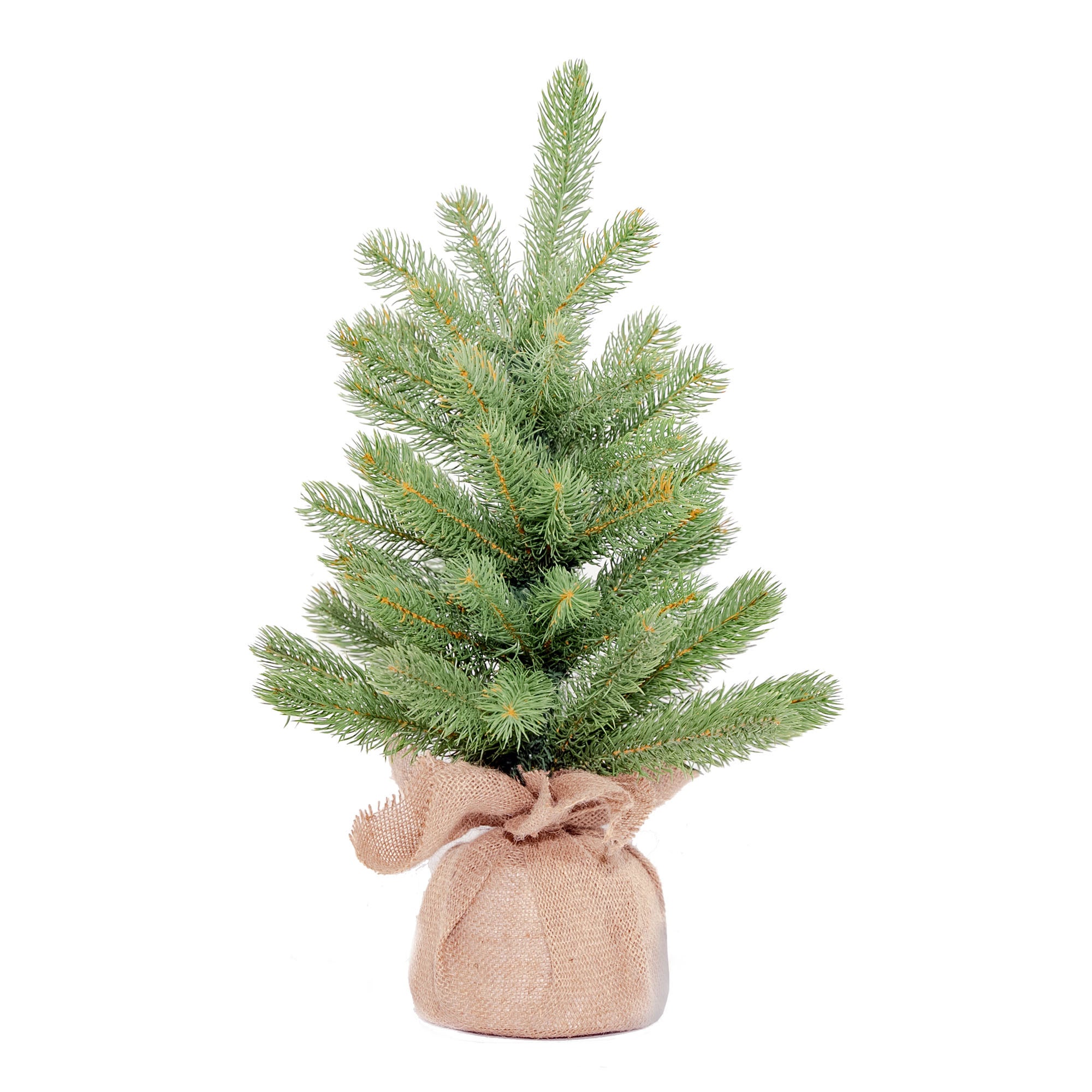 2ft Downswept Douglas Christmas Tree In Burlap Base