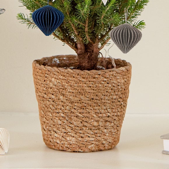 Carousel navigation image position 3 of 5