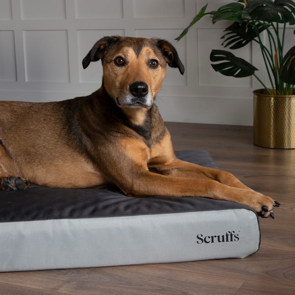 Scruffs ArmourDillo Orthopaedic Dog Bed image 1 of 8