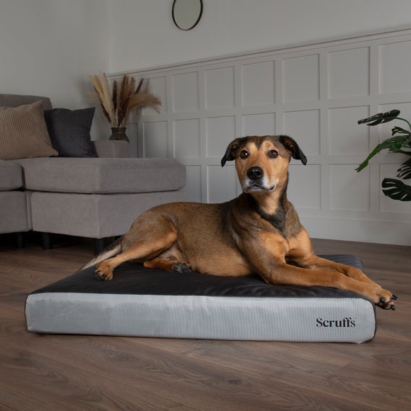 Dog on sale beds dunelm