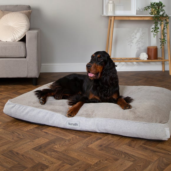 Temperpedic discount dog bed