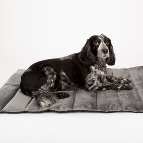 Scruffs Expedition Roll Up Travel Pet Bed