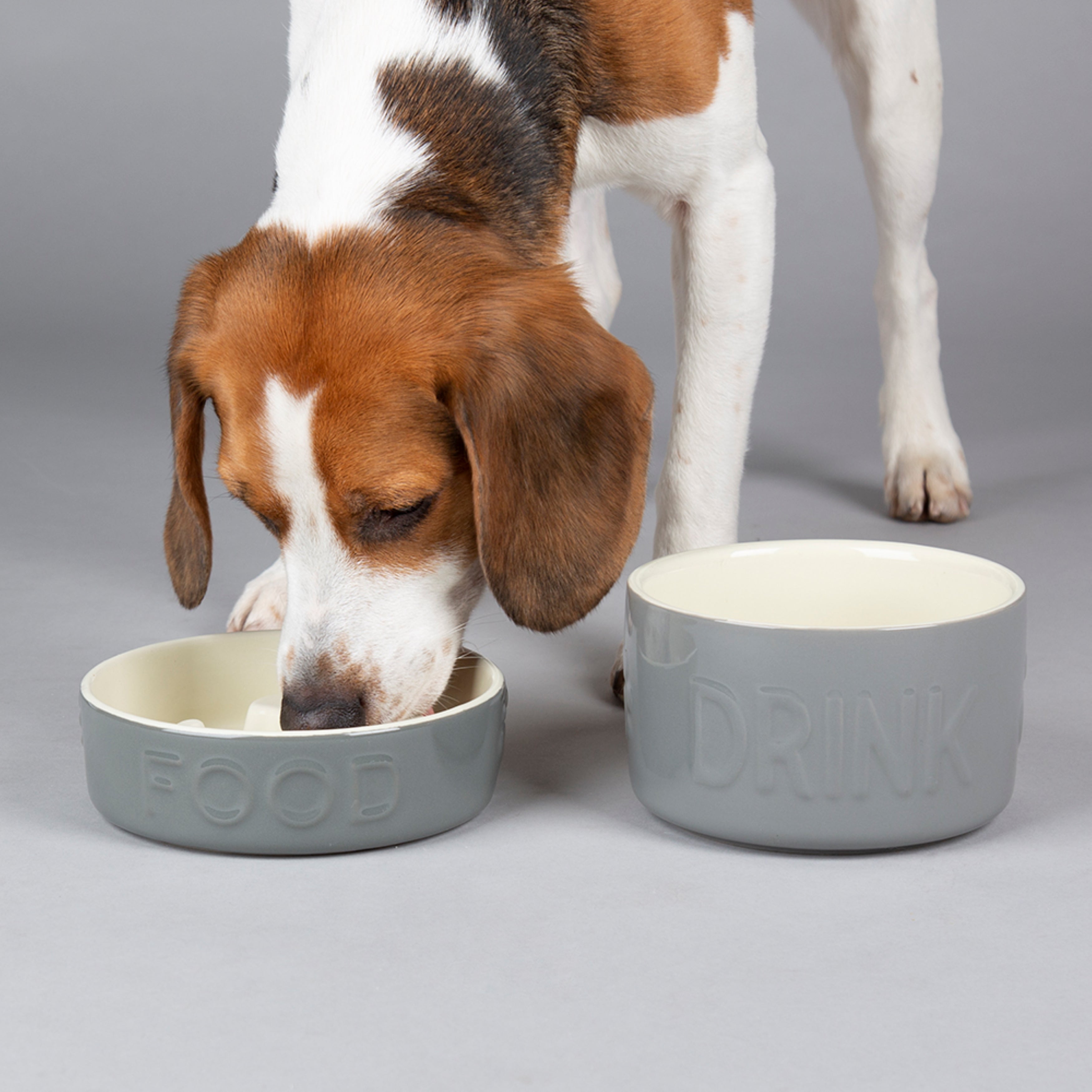 Scruffs Classic Slow Feeder And Drink Bowl Set Grey