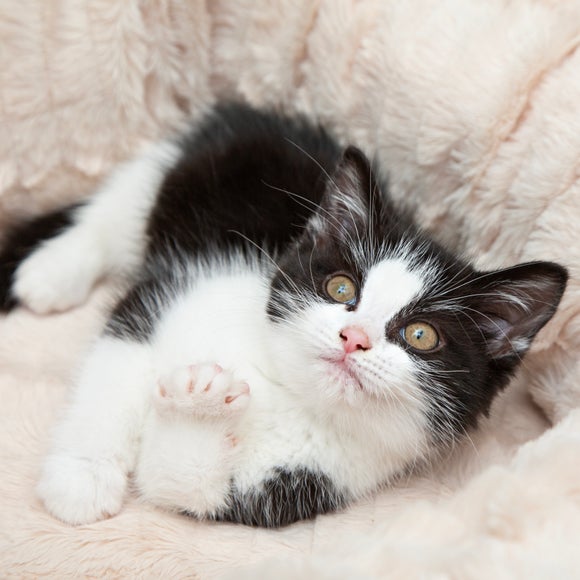 Carousel navigation image position 2 of 7