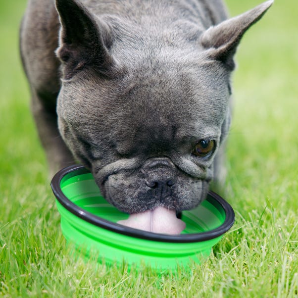 Crufts Collapsible 1L Pet Bowl with Hook image 1 of 8