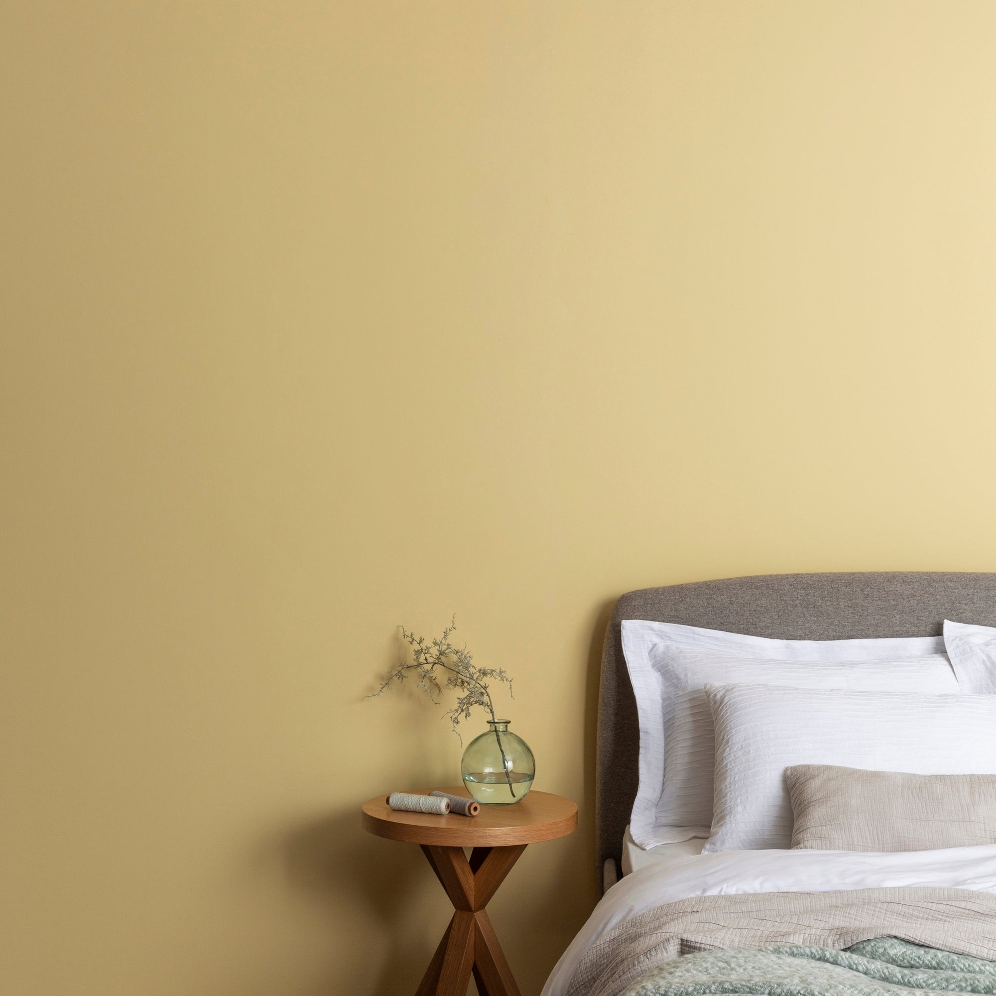 Dunelm Primrose Matt Emulsion Paint