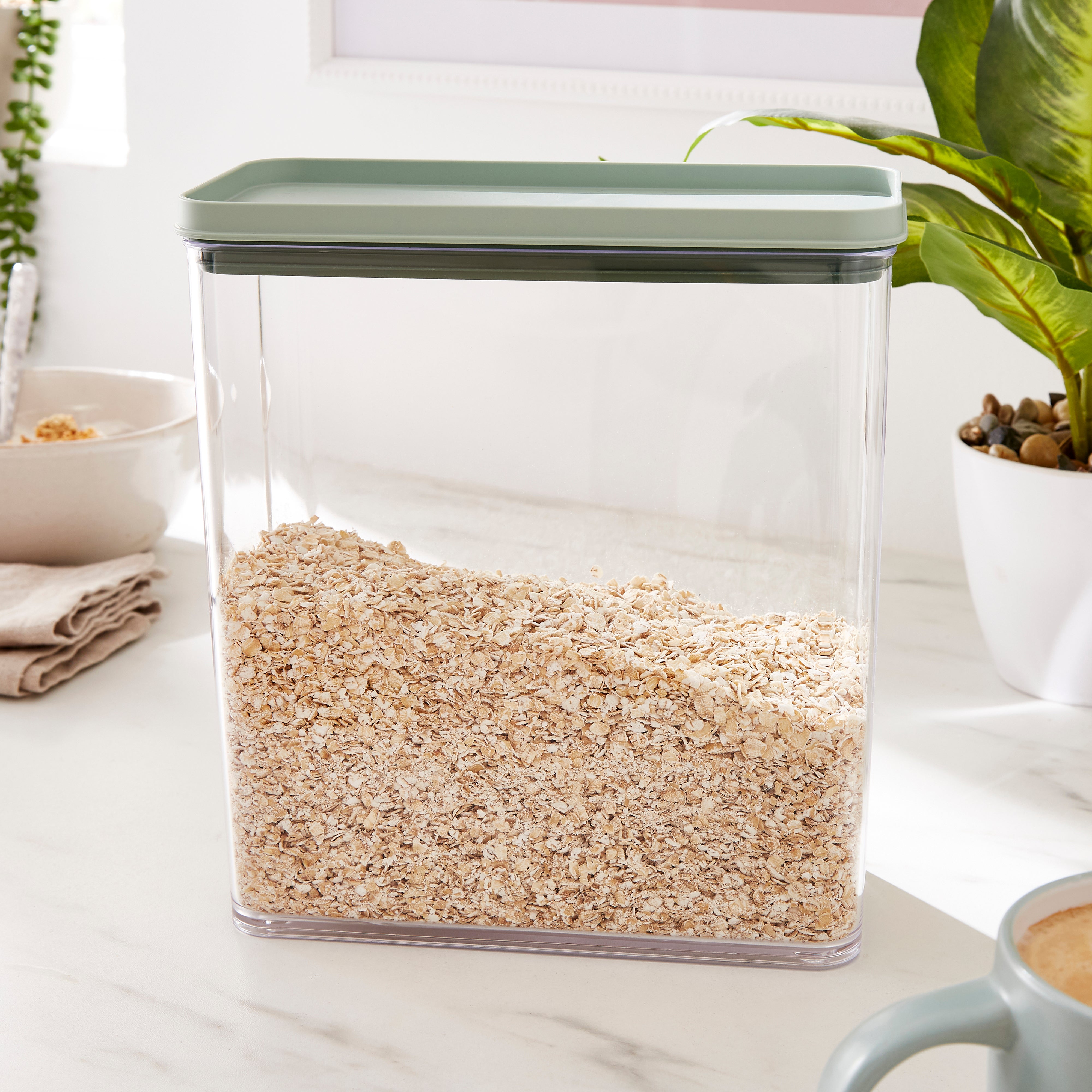 5five 0.5L Food Storage Container & Reviews