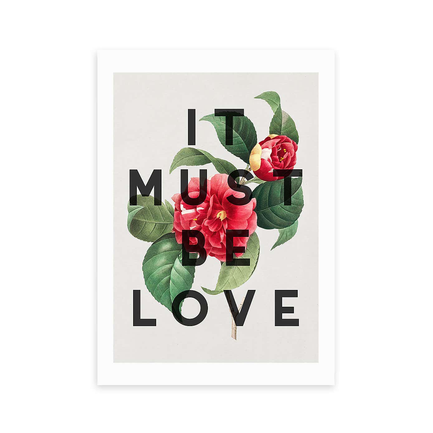 Carousel zoom image position 2 of 2