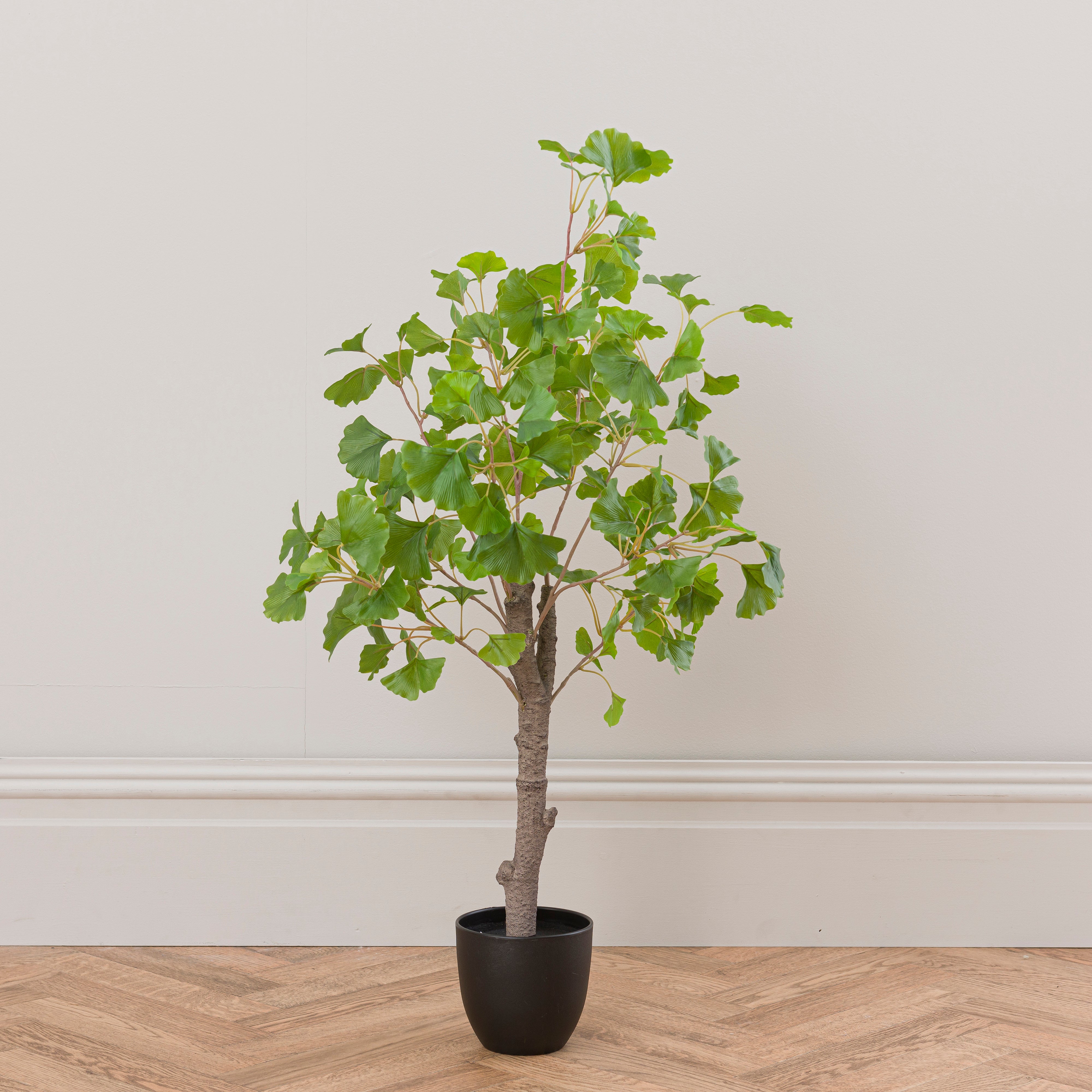 Artificial Ginko Tree In Black Plant Pot Green