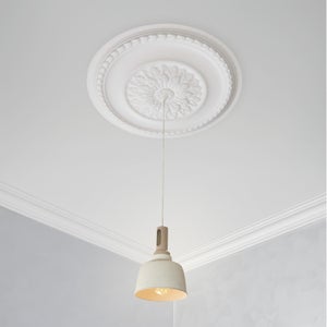 Botanical Ceiling Rose