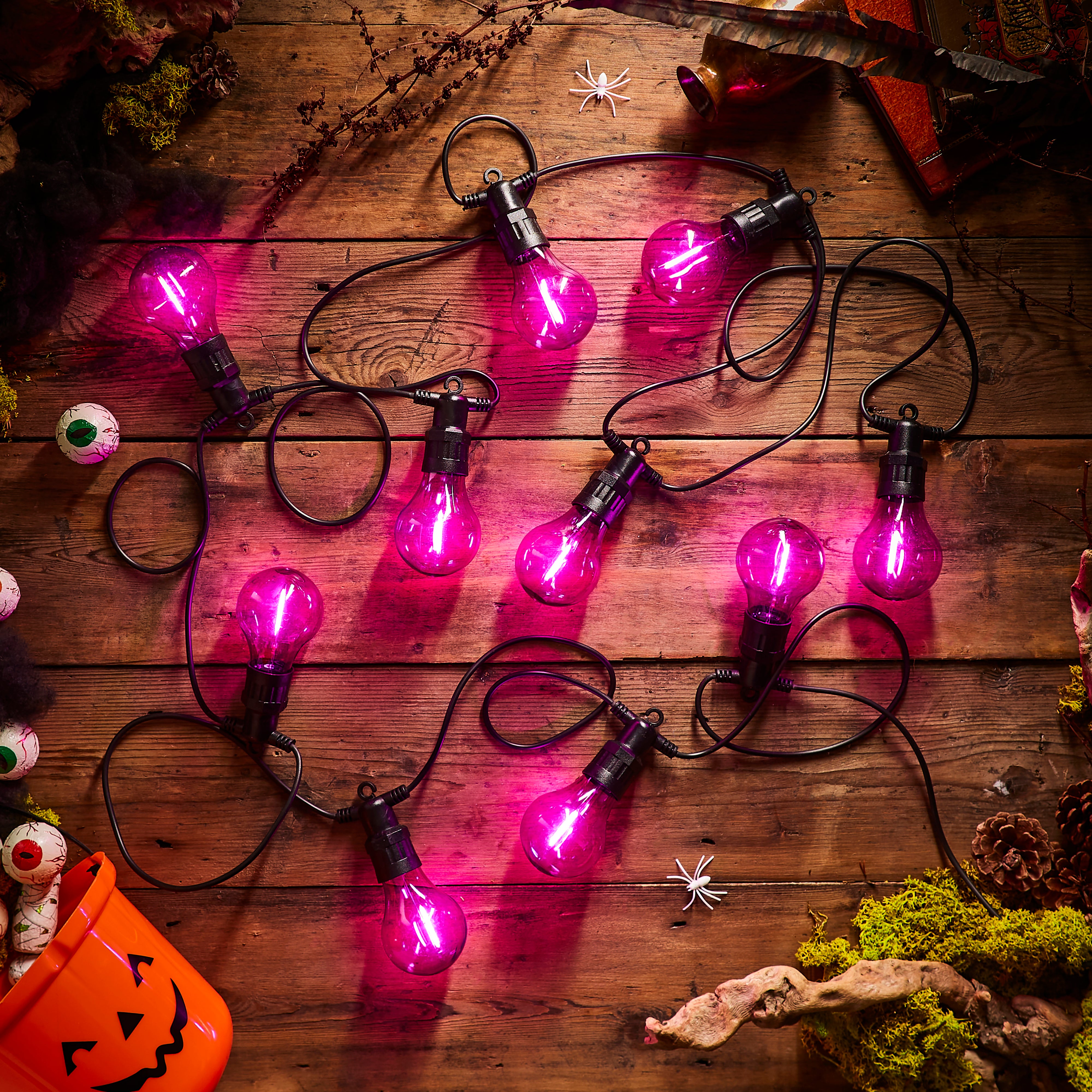 Festoon 10 Indoor Outdoor LED String Lights