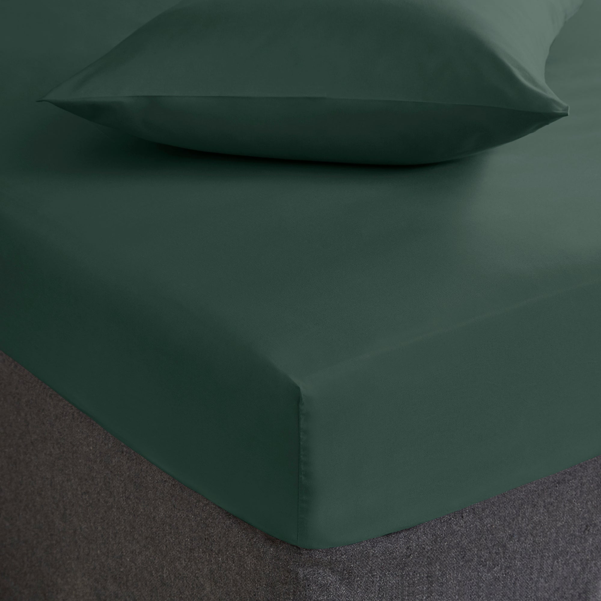 Fogarty Soft Touch Fitted Sheet