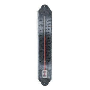 Fallen Fruits Zinc Thermometer