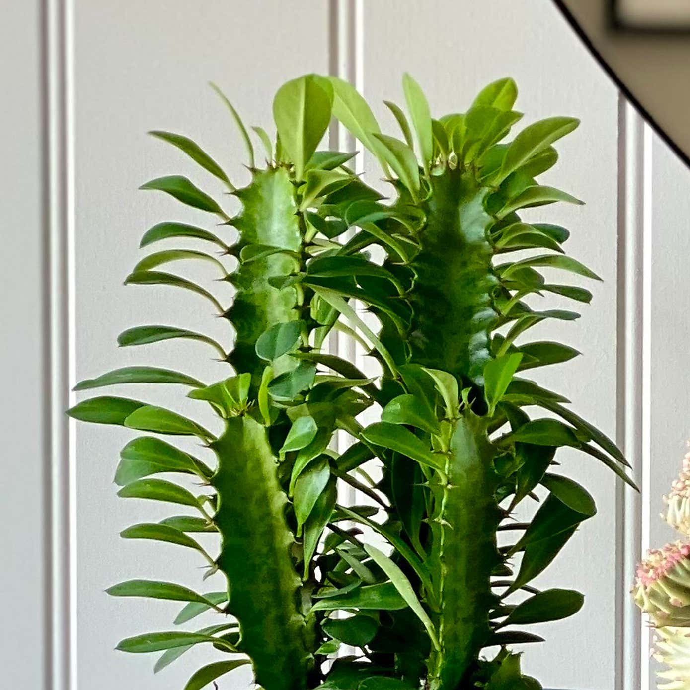 Carousel zoom image position 2 of 5