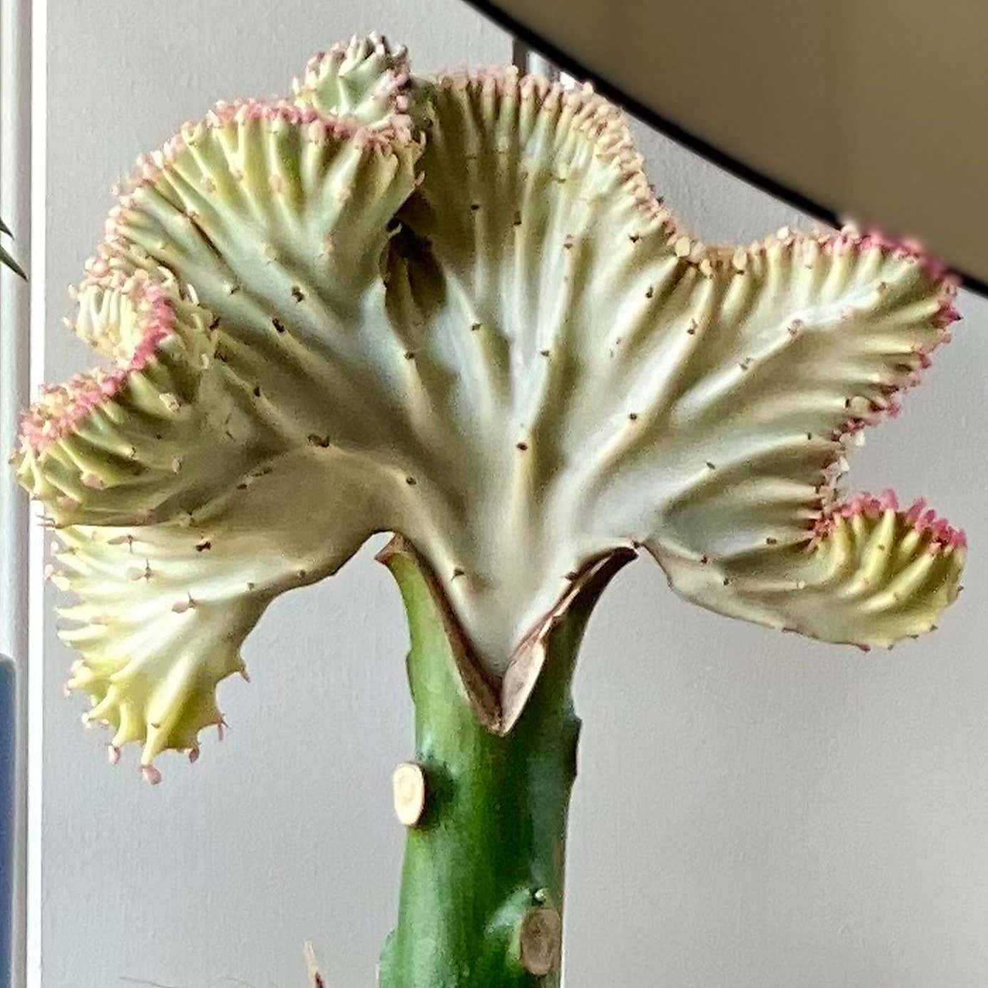 Carousel zoom image position 3 of 5