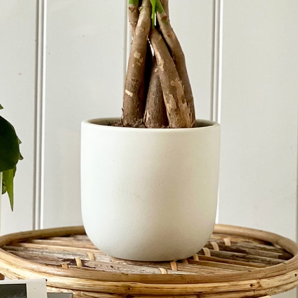 Carousel navigation image position 4 of 5