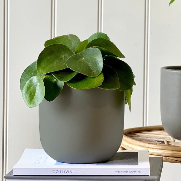 Carousel navigation image position 2 of 5