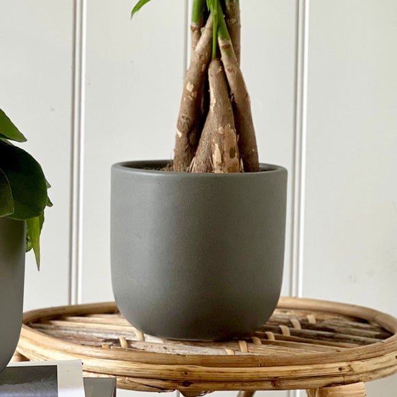 Carousel navigation image position 4 of 5