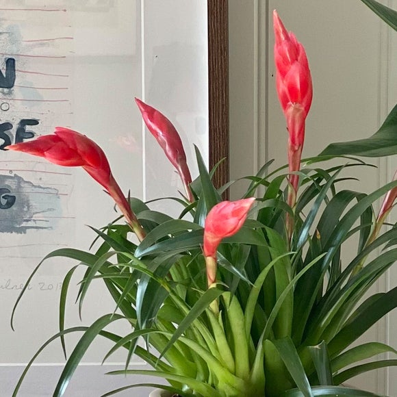 Carousel navigation image position 2 of 6