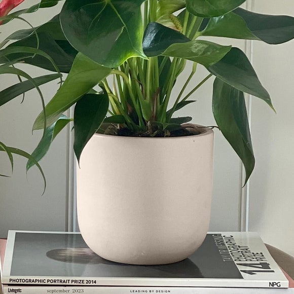 Carousel navigation image position 5 of 6