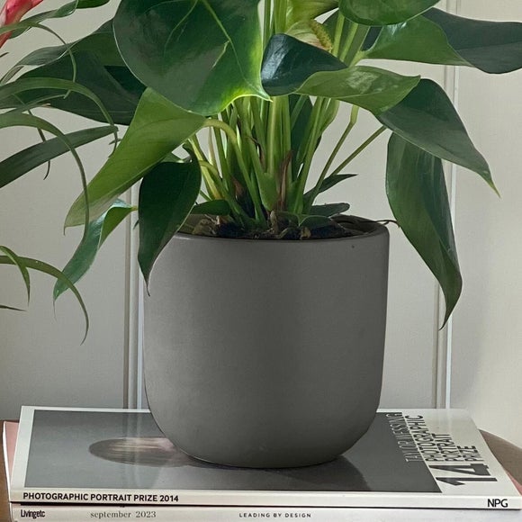 Carousel navigation image position 5 of 6