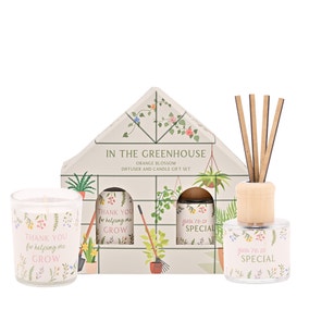 The Cottage Garden Orange Blossom Diffuser & Candle Gift Set