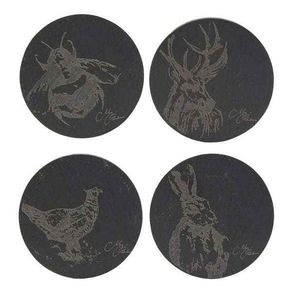 Meg Hawkins Set of 4 Engraved Animal Coasters image 1 of 4
