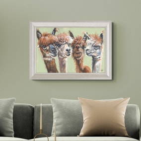 Mop Tops Alpaca Framed Print