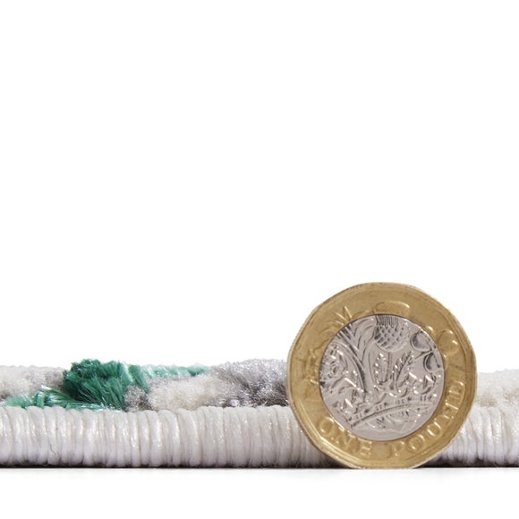 Carousel navigation image position 4 of 7