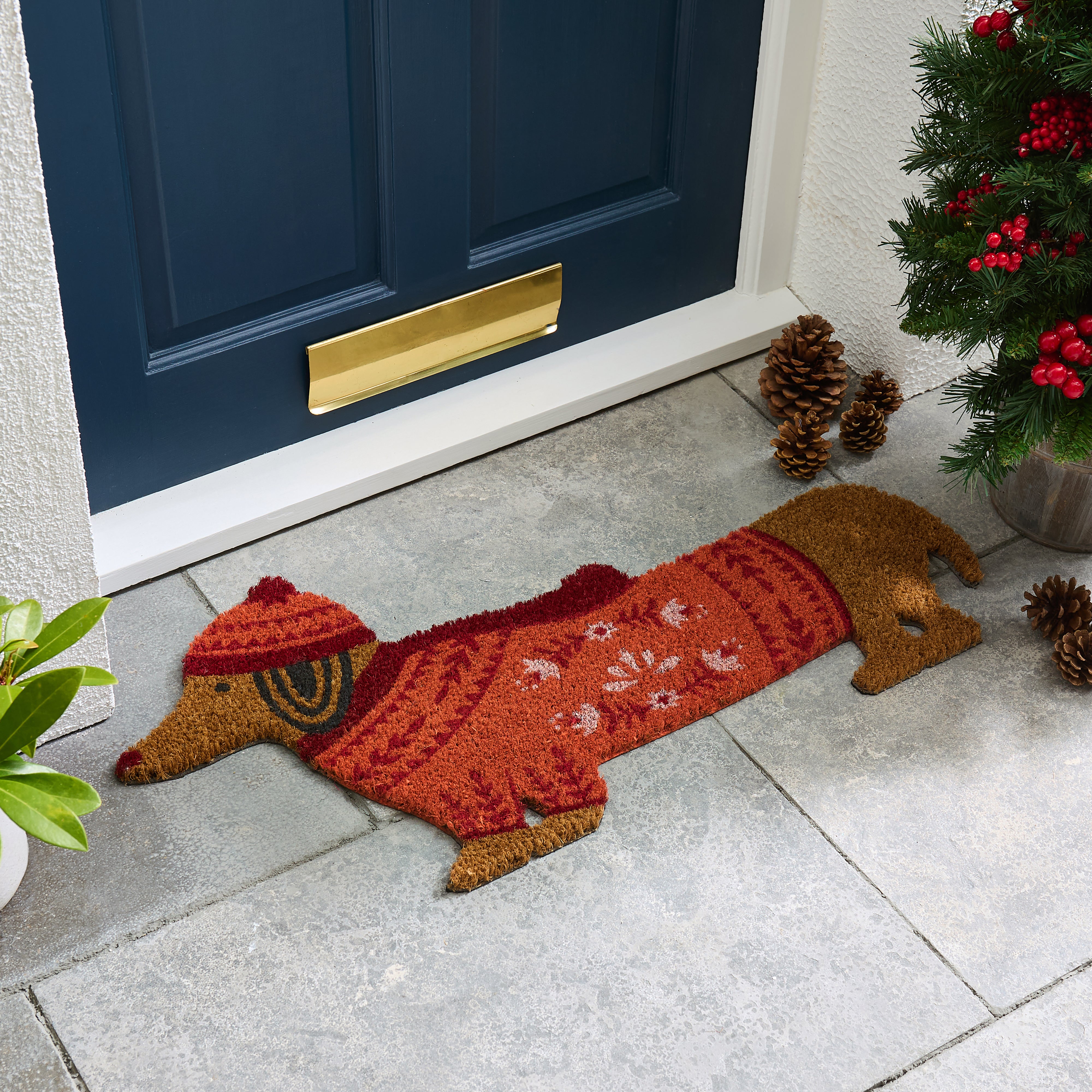 Bertie Coir Outdoor Doormat Multicoloured