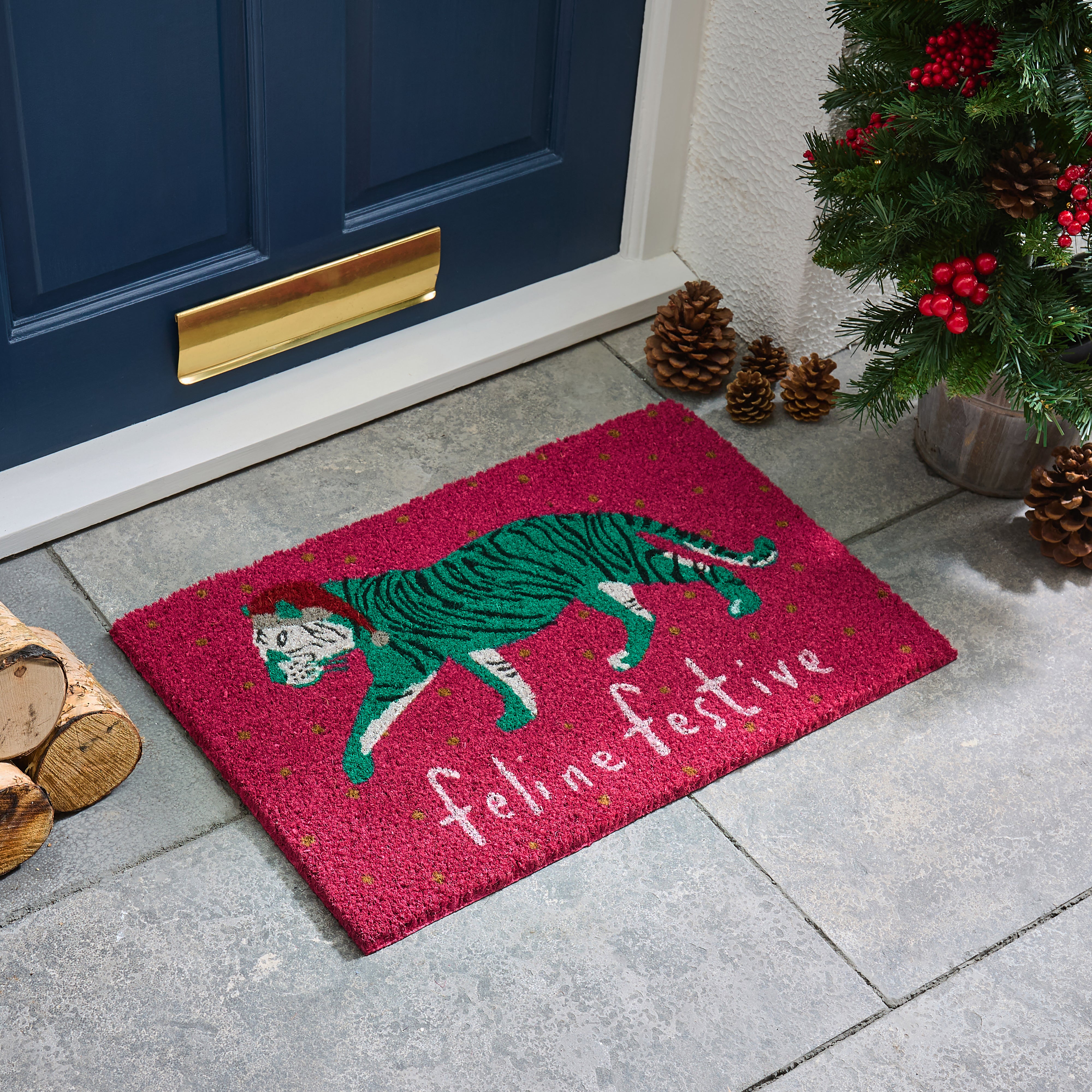 Feline Festive Coir Outdoor Doormat Multicoloured