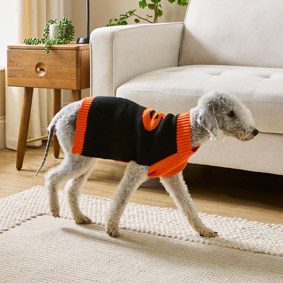 Halloween dog jumper best sale