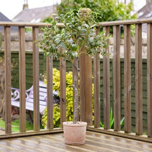Artificial Olive Tree In Rustic Pot