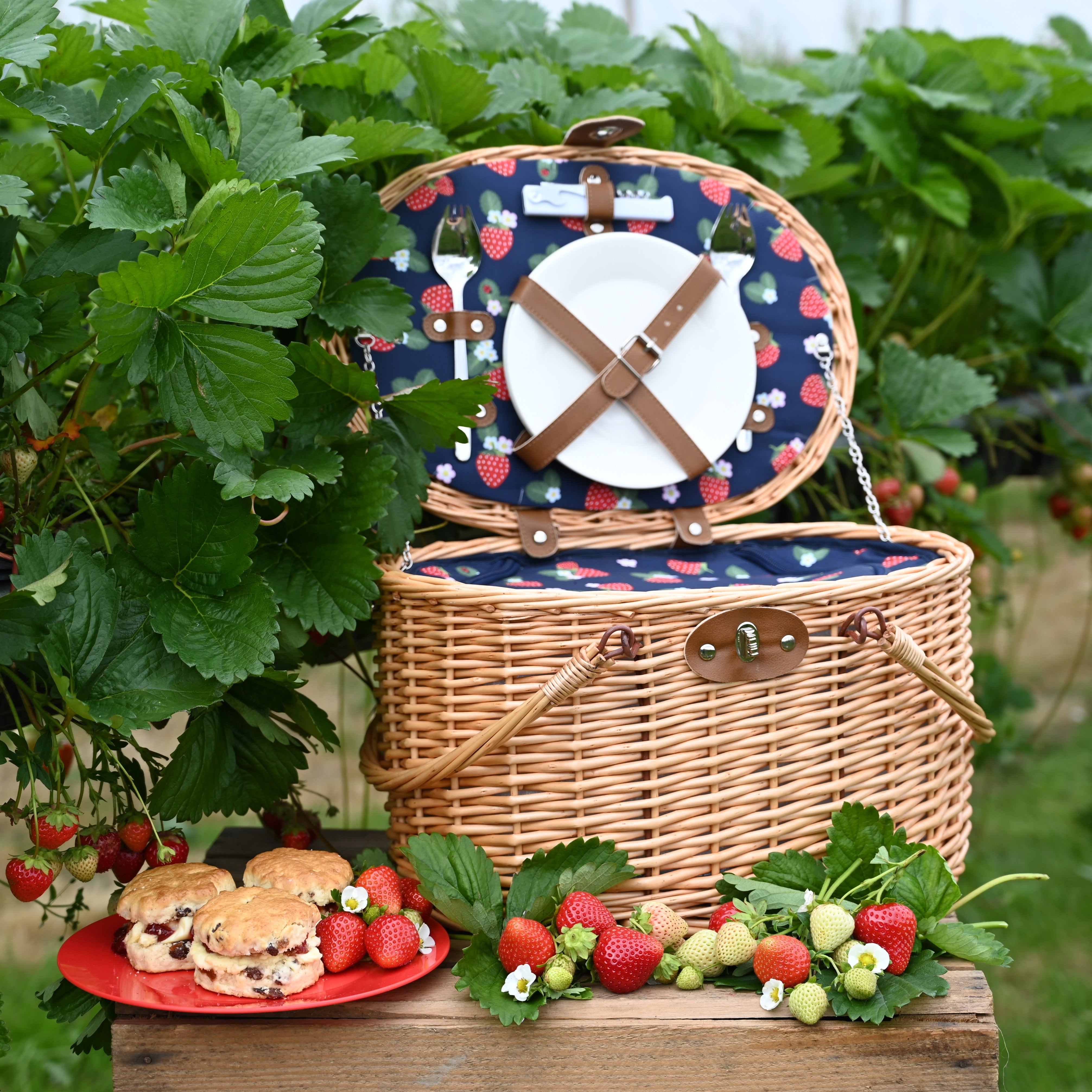 Strawberries & Cream 2 Person Insulated Wicker Picnic Basket Set
