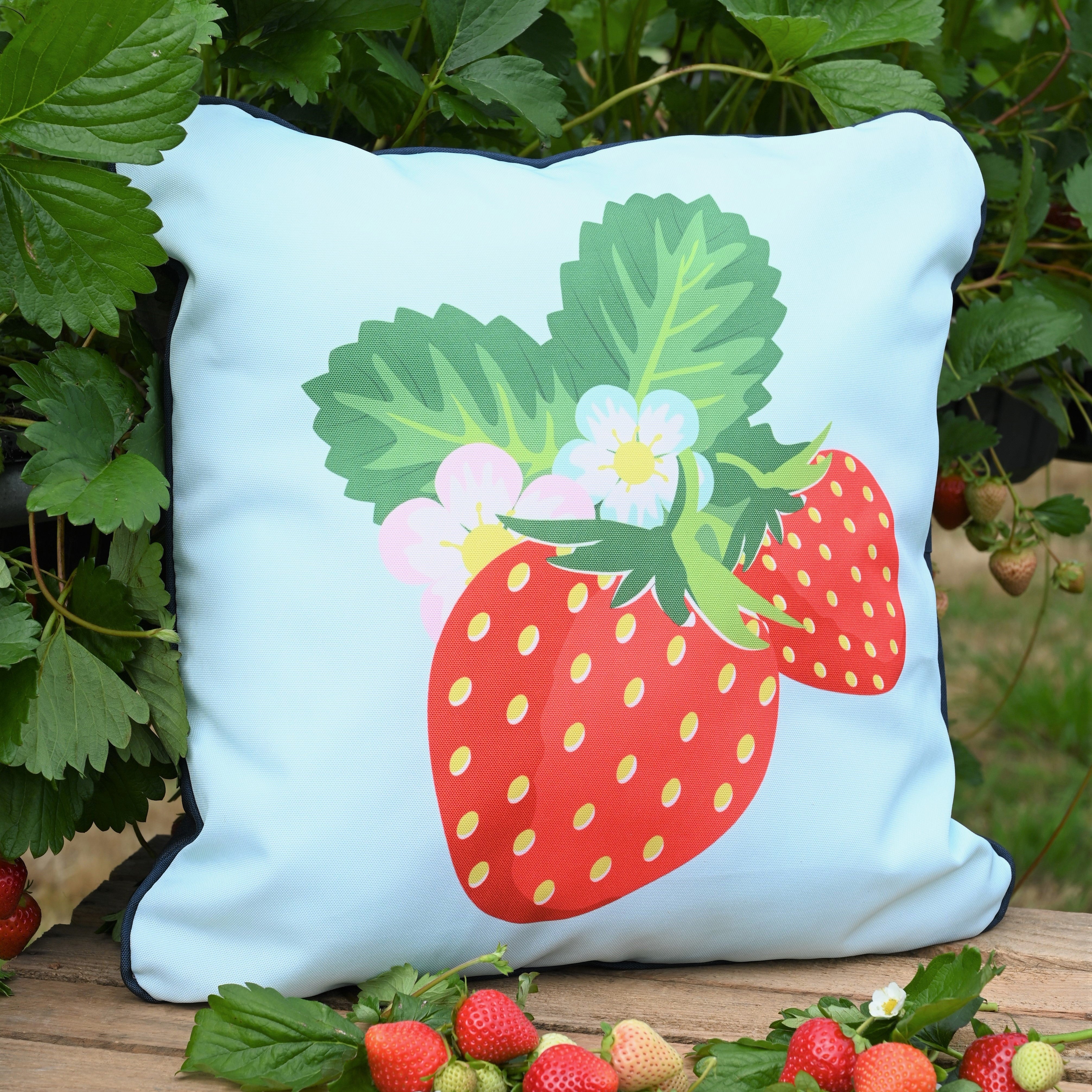 Strawberries Cream Outdoor Picnic Cushion Multicoloured