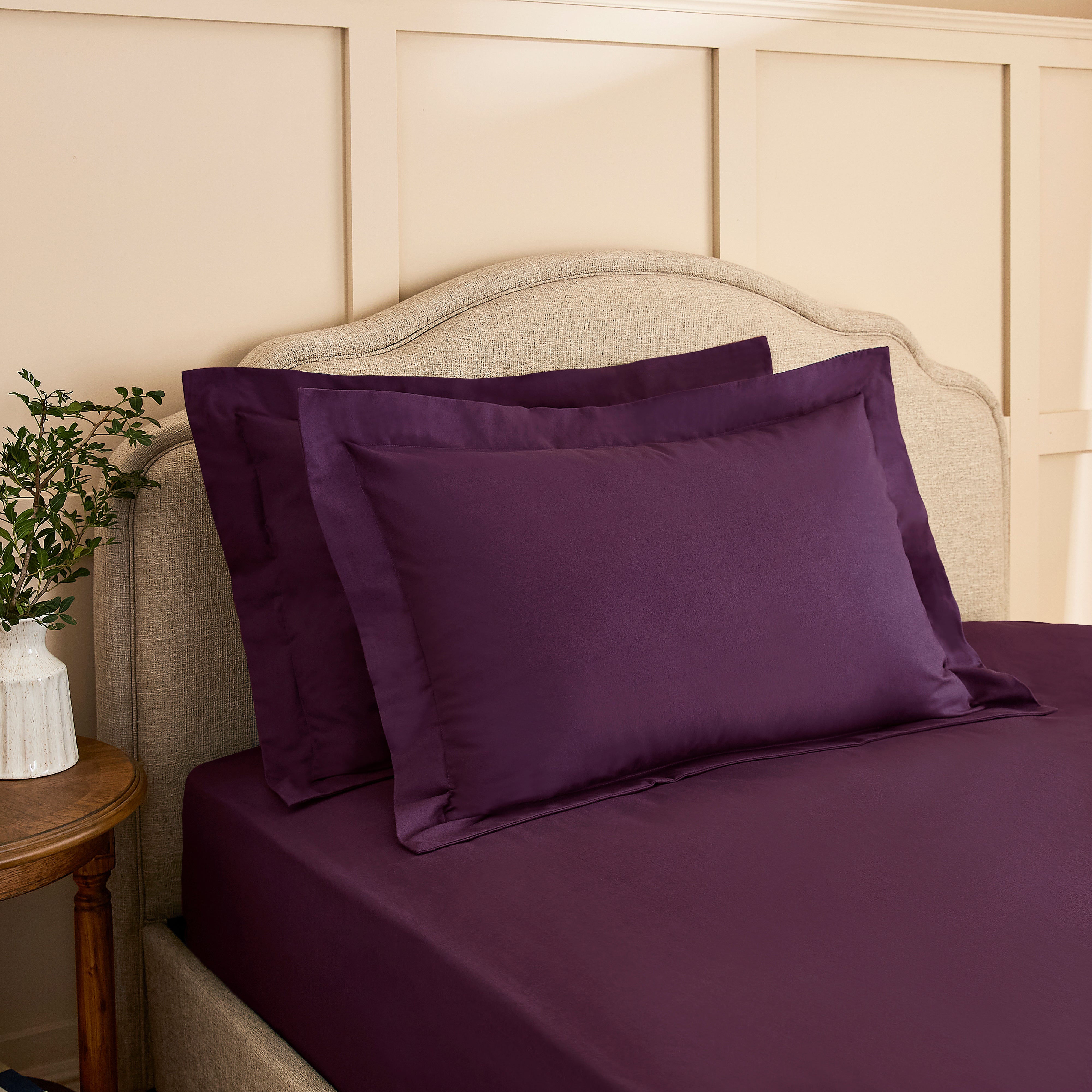 Dorma Premium 100 Brushed Cotton Oxford Pillowcase Pair Damson Purple