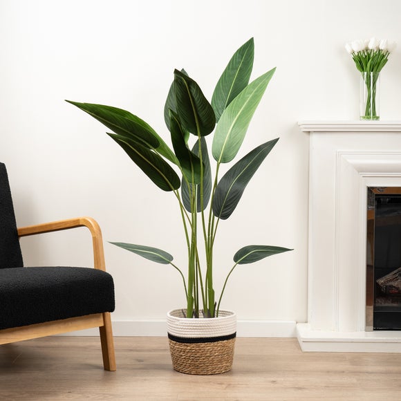 Click to view product details and reviews for Artificial Bird Of Paradise Tree In Black Plastic Plant Pot.