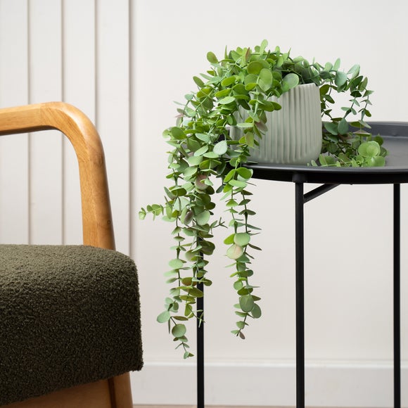 Click to view product details and reviews for Artificial Trailing Eucalyptus In Black Plastic Plant Pot.