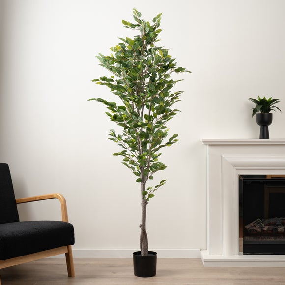 Click to view product details and reviews for Artificial Ficus Tree In Black Plastic Plant Pot.