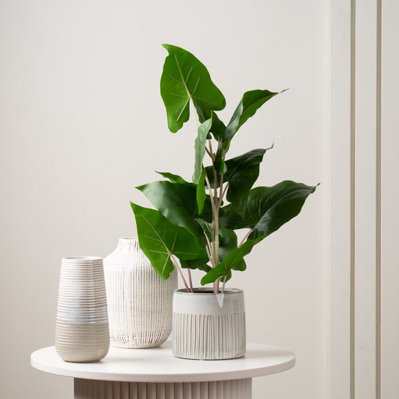 Click to view product details and reviews for Artificial Real Touch Typhonium In Black Plastic Plant Pot.