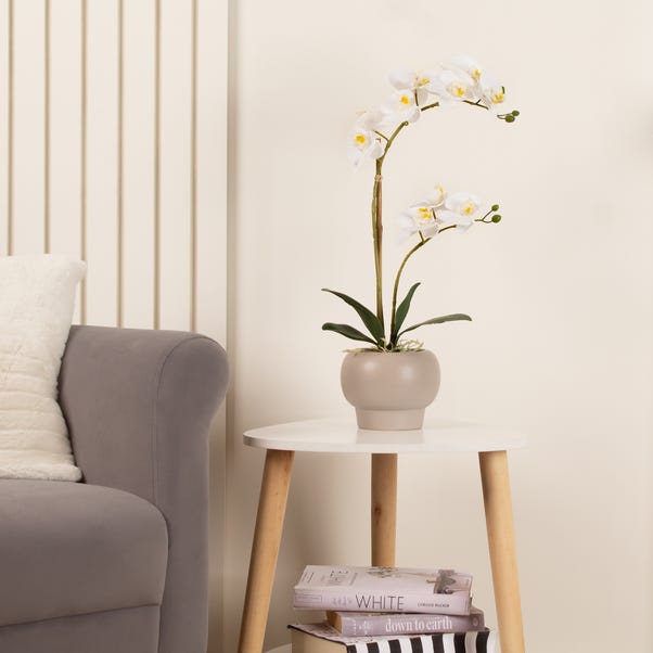 Artificial White Phalaenopsis Orchid in Round Ceramic Plant Pot image 1 of 4