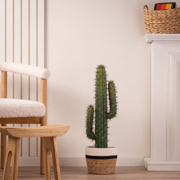 Click to view product details and reviews for Artificial Cactus In Black Plastic Plant Pot.