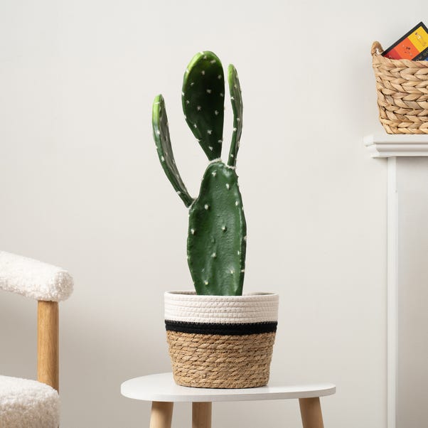 Artificial Prickly Pear in Black Plastic Plant Pot image 1 of 4