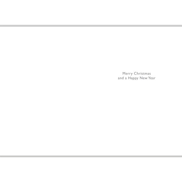 Carousel navigation image position 2 of 2