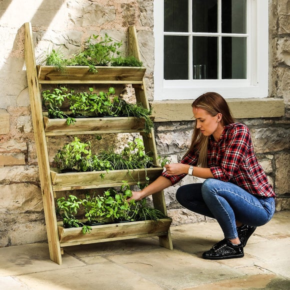 Ladder Planter