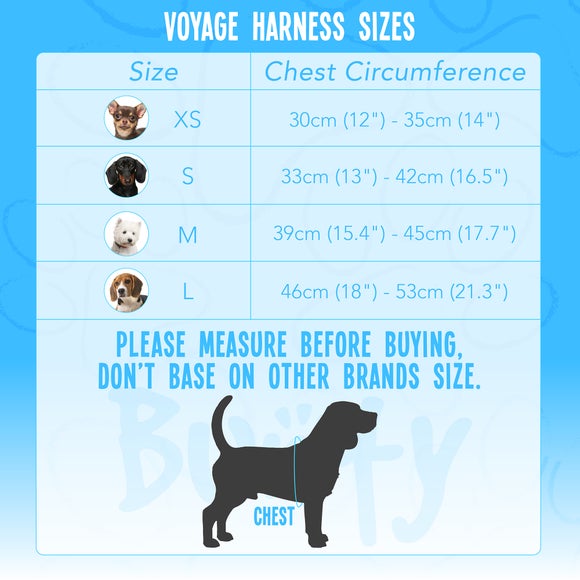 Carousel navigation image position 2 of 2