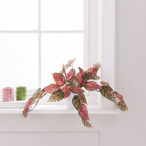 Artificial Hypoestes In White Plastic Plant Pot